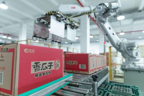 創新驅動，洽洽食品以高質量發展引領未來