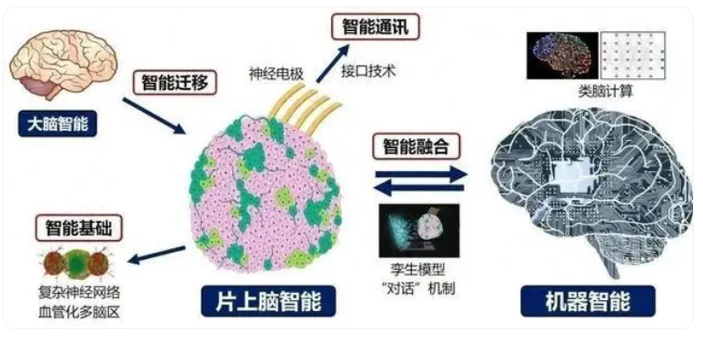 國產(chǎn)腦機(jī)接口技術(shù)突破引矚目,微美全息(WIMI.US)持續(xù)科研深耕引領(lǐng)產(chǎn)業(yè)創(chuàng)新浪潮