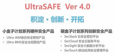 泰岳安全發(fā)布企業(yè)信息安全管控新品Ultrasafe 4.0，引領(lǐng)信息技術(shù)咨詢服務(wù)新紀(jì)元